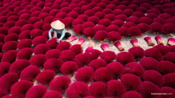 Arranging Incense Bundles Vietnam