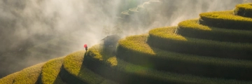 Mu Cang Chai Rice Fields Vietnam Photo Tours