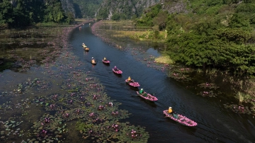 Women And Waterlily in Ninh Binh Vietnam 4