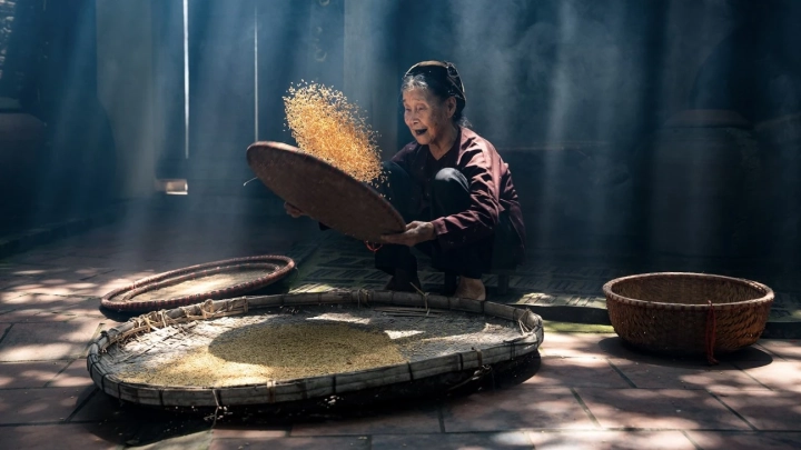 Farmer In Duong Lam Village Hanoi