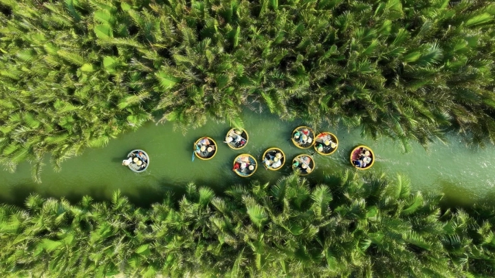 Hoi An Coconut Forest