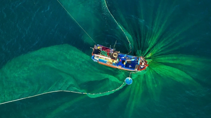 Hon Yen Fishing Net