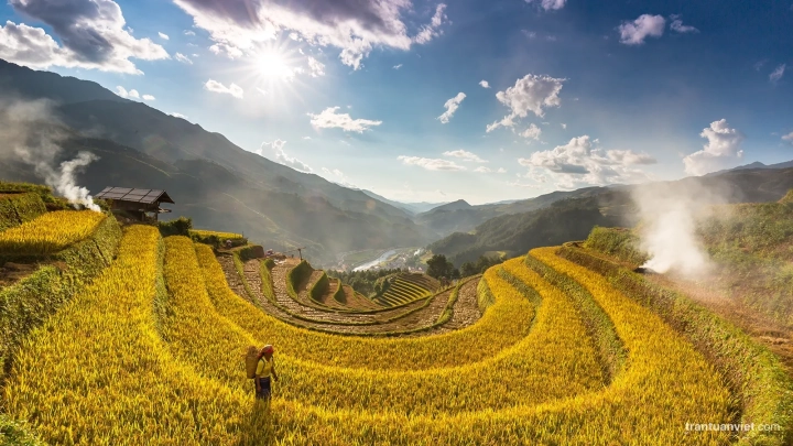 Mu Cang Chai rice terraces