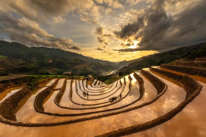Horse Shoes Bench Mu Cang Chai Vietnam