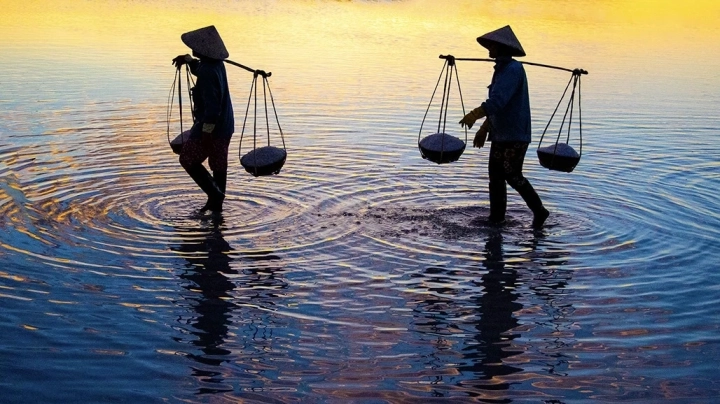 Salt workers, VN029