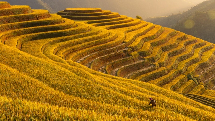 Vietnam Autumn Photo Tour Workshop