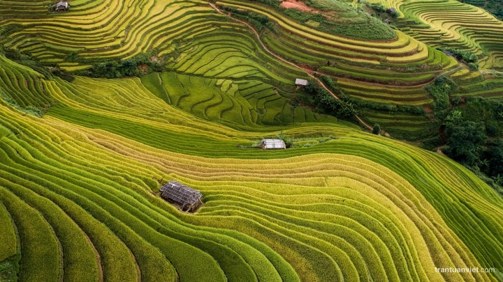 Vietnam Autumn Photo Tour Workshop