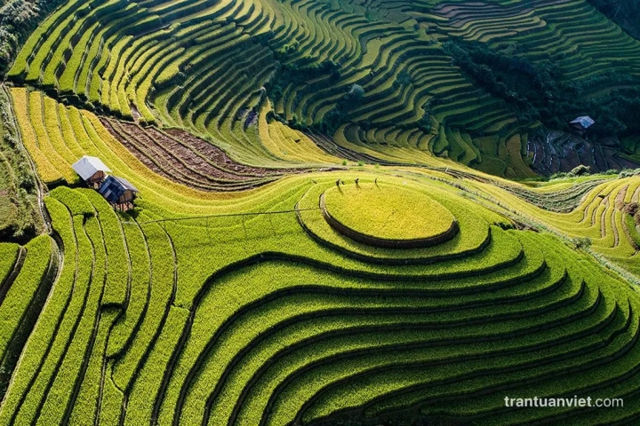 Mu Cang Chai Rice Terraces