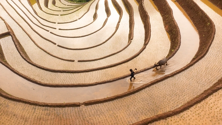 Mu Cang Chai Water Season Horse Shoe Drone