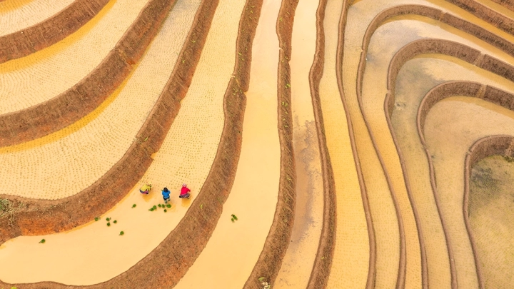 Mu Cang Chai Water Season