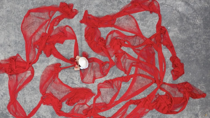 Red Net