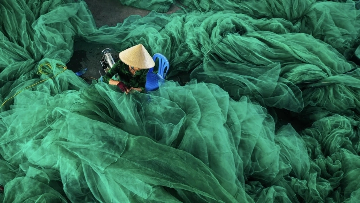 Sewing green net Vietnam