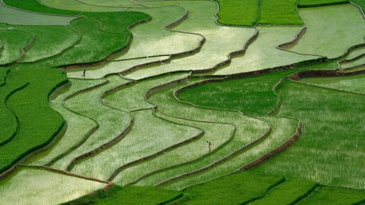 Tu Le Valley