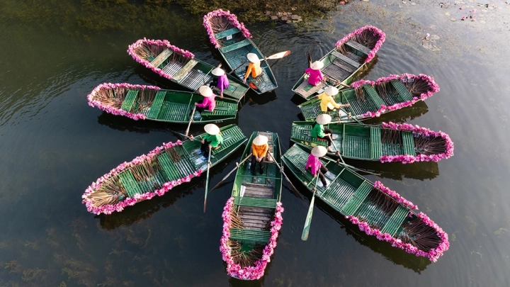 Women And Waterlily In Ninh Binh Vietnam 2
