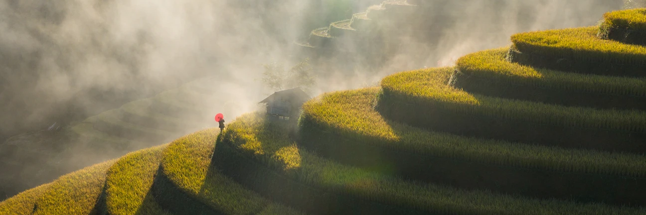 Mu Cang Chai Rice Fields Vietnam Photo Tours